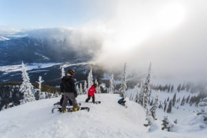 Fernie Alpine Resort - 24th January 2015