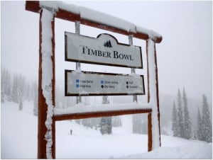 Timber Bowl