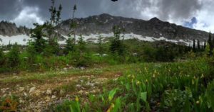 New hiking trail - skeleton flats