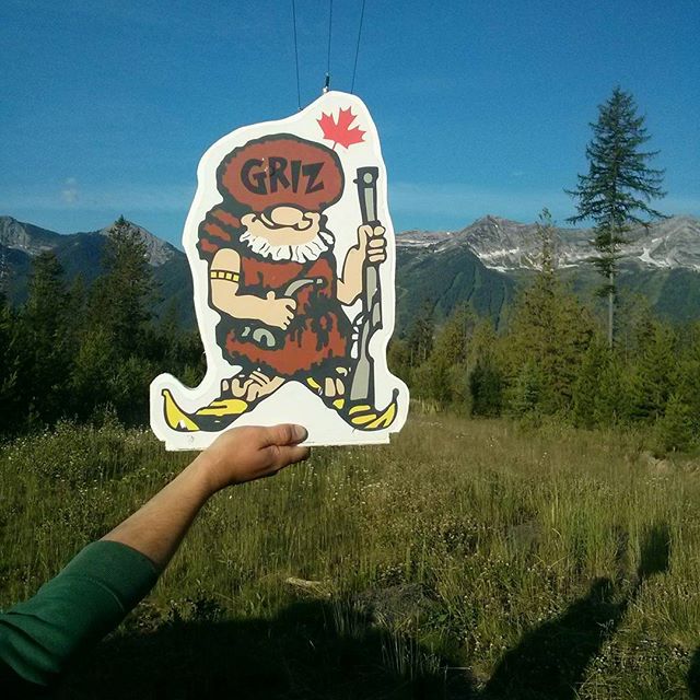 griz on tour