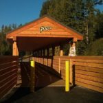 Griz at the Fairy Creek bridge