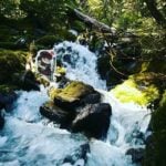 Griz at a waterfall