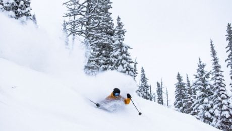 Caleb Brown at Fernie Alpine Resort