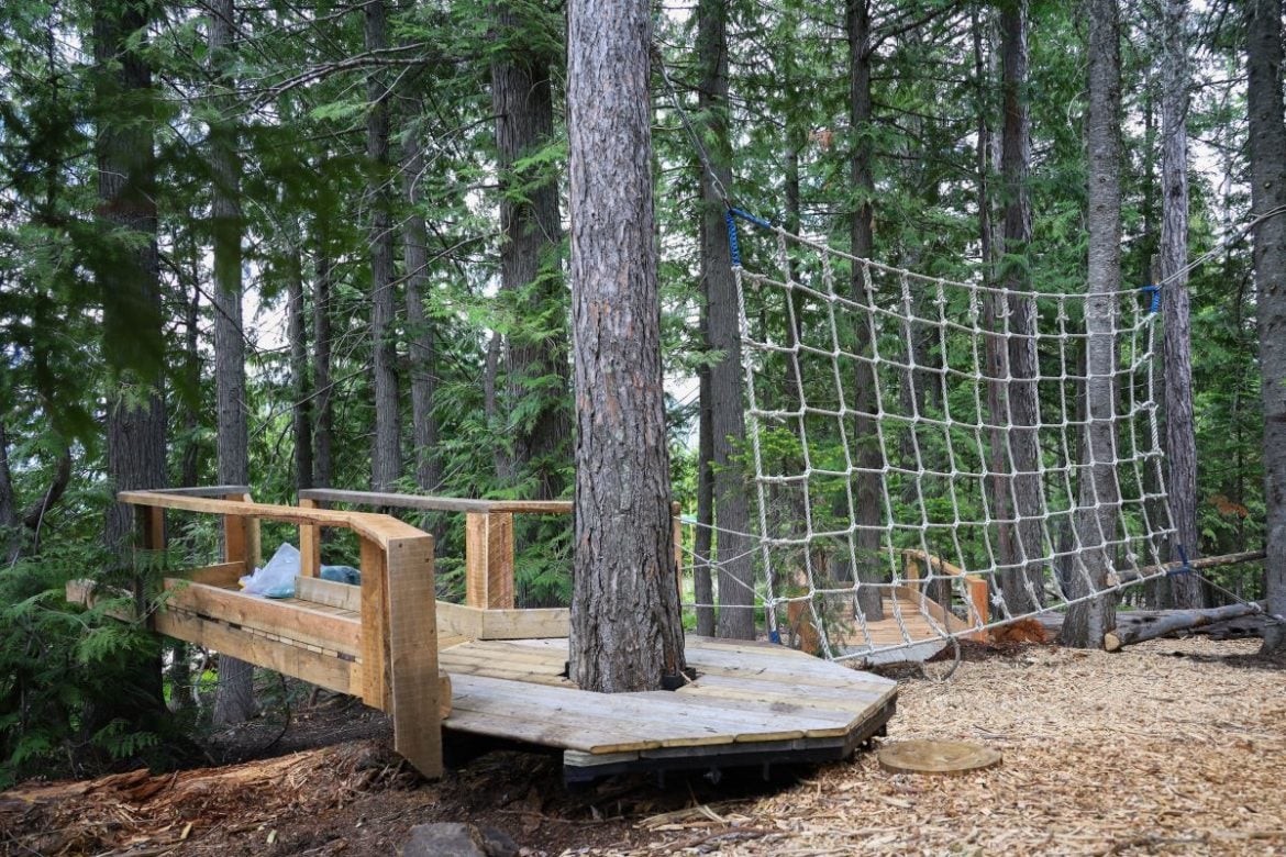 Introducing the Elk Grove Forest Playground! – Fernie Alpine Resort