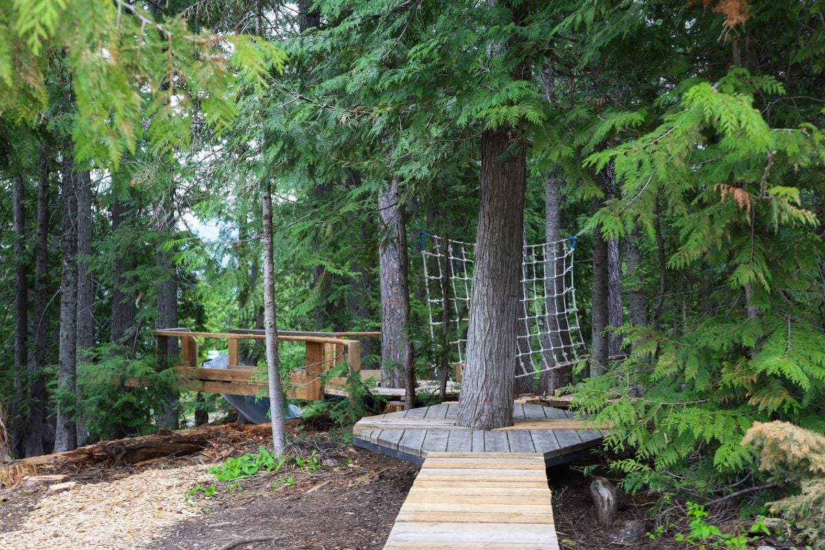 Introducing the Elk Grove Forest Playground! – Fernie Alpine Resort