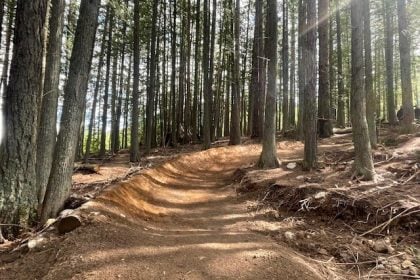 Trail Crew update 1 – pic 1