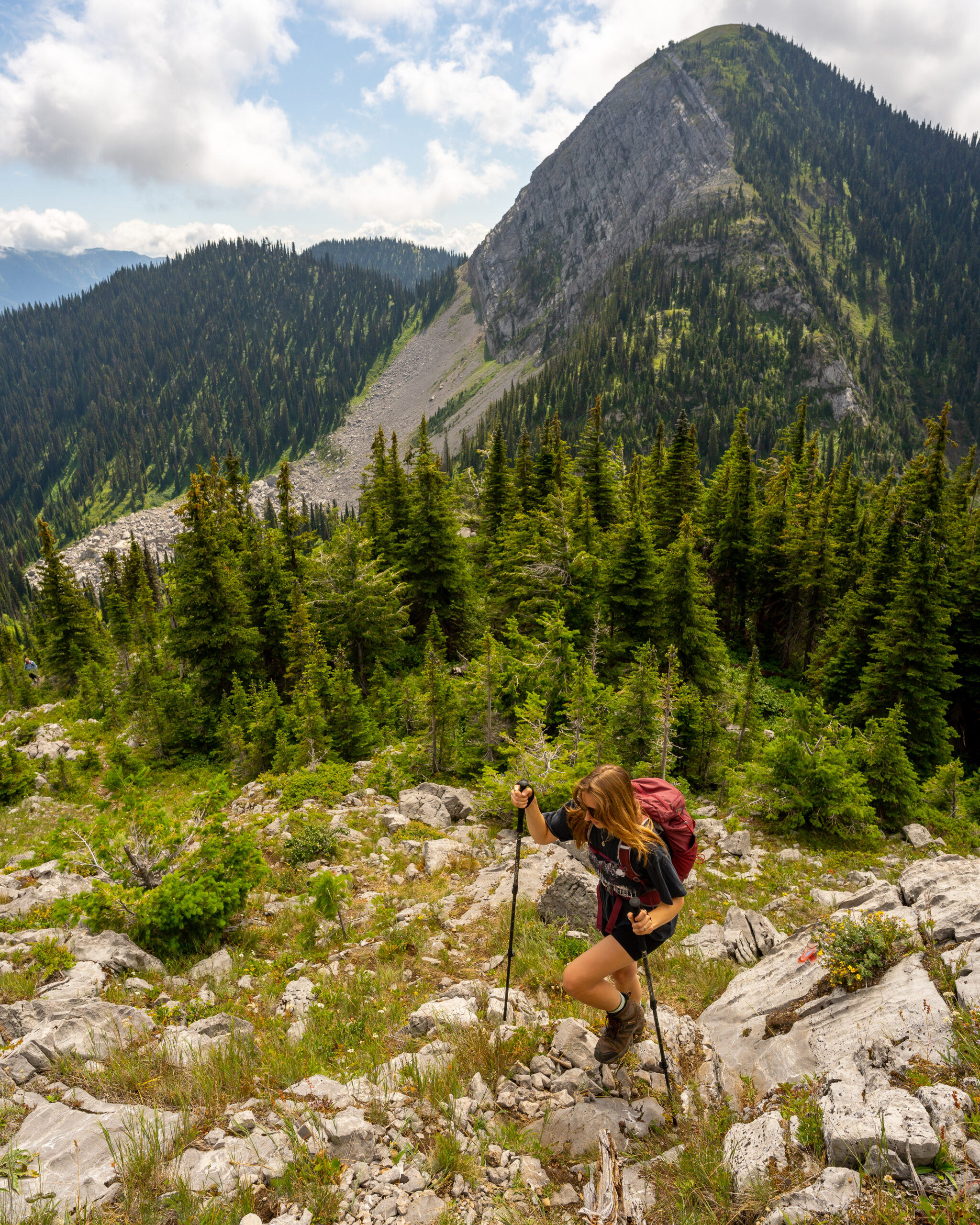 Fernie Alpine Resort Ridge Walk